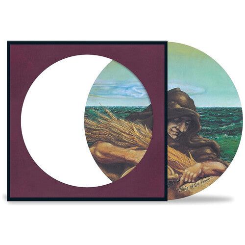 The Grateful Dead - Wake Of The Flood - Picture Disc LP Vinyl Record Hub