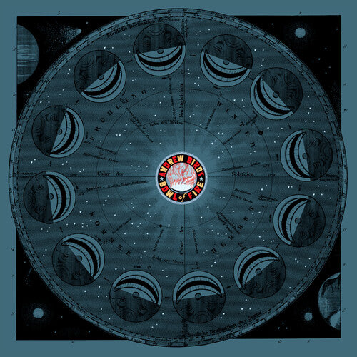 Andrew Bird's Bowl of Fire - Oh! the Grandeur - LP Vinyl Record Hub