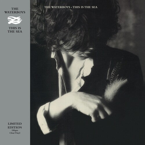 The Waterboys - This Is The Sea - LP Vinyl Record Hub