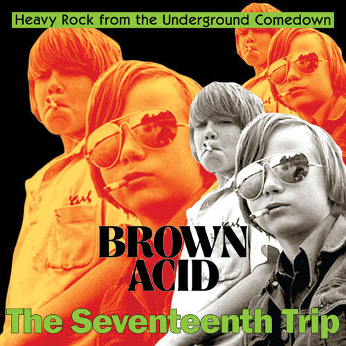 Various Artists - Brown Acid: The Seventeenth Trip - LP Vinyl Record Hub