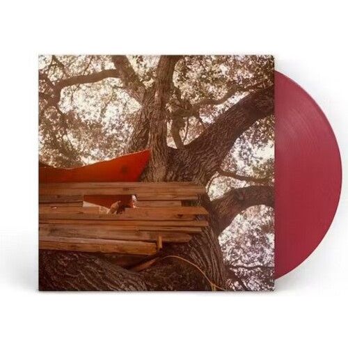 The Backseat Lovers - Waiting To Spill (Anniversary Edition) - LP Vinyl Record Hub