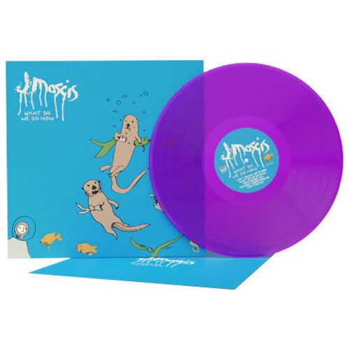 J Mascis - What Do We Do Now - LP Vinyl Record Hub