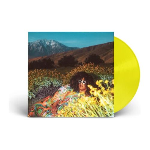 Brittany Howard - What Now - LP Vinyl Record Hub