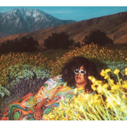 Brittany Howard - What Now - LP Vinyl Record Hub