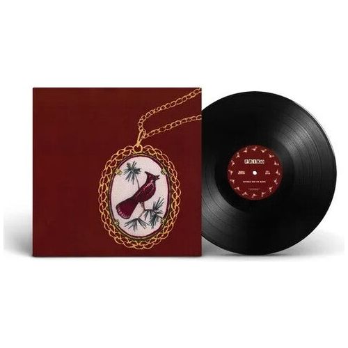 Friko - Where We've Been, Where We Go From Here - LP Vinyl Record Hub