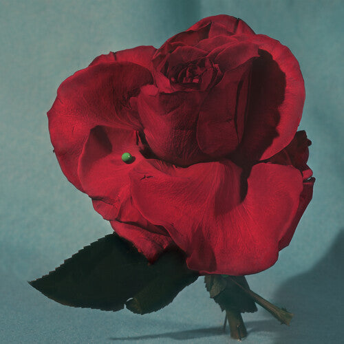 METZ - Up on Gravity Hill - LP Vinyl Record Hub