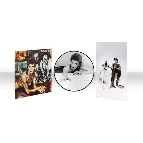 David Bowie - Diamond Dogs (50th Anniversary) - Picture Disc LP Vinyl Record Hub