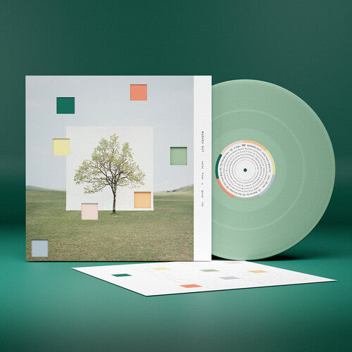 Washed Out - Notes From a Quiet Life - Loser Edition - LP Vinyl Record Hub