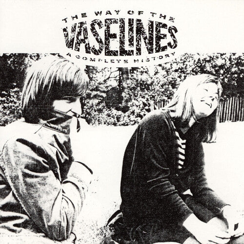 The Vaselines - The Way of The Vaselines - LP Vinyl Record Hub