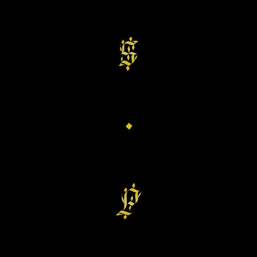 Shabazz Palaces - Black Up - LP Vinyl Record Hub