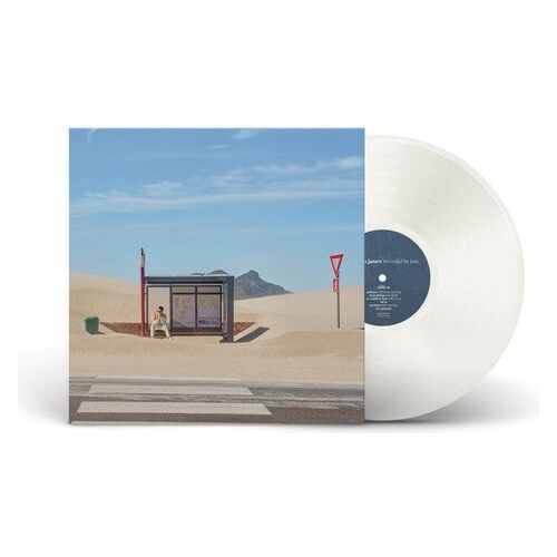 Hayden James - We Could Be Love - LP Vinyl Record Hub
