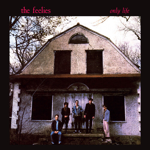 The Feelies - Only Life - LP Vinyl Record Hub