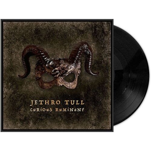 Jethro Tull - Curious Ruminant - LP Vinyl Record Hub