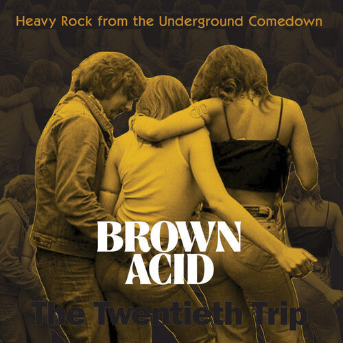 Various Artists - Brown Acid: The Twentieth Trip - LP Vinyl Record Hub