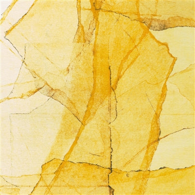 Wadada Leo Smith & Amina Claudine Myers - Central Park's Mosaics of Reservoir, Lake, Paths and Gardens - Indie LP Vinyl Record Hub