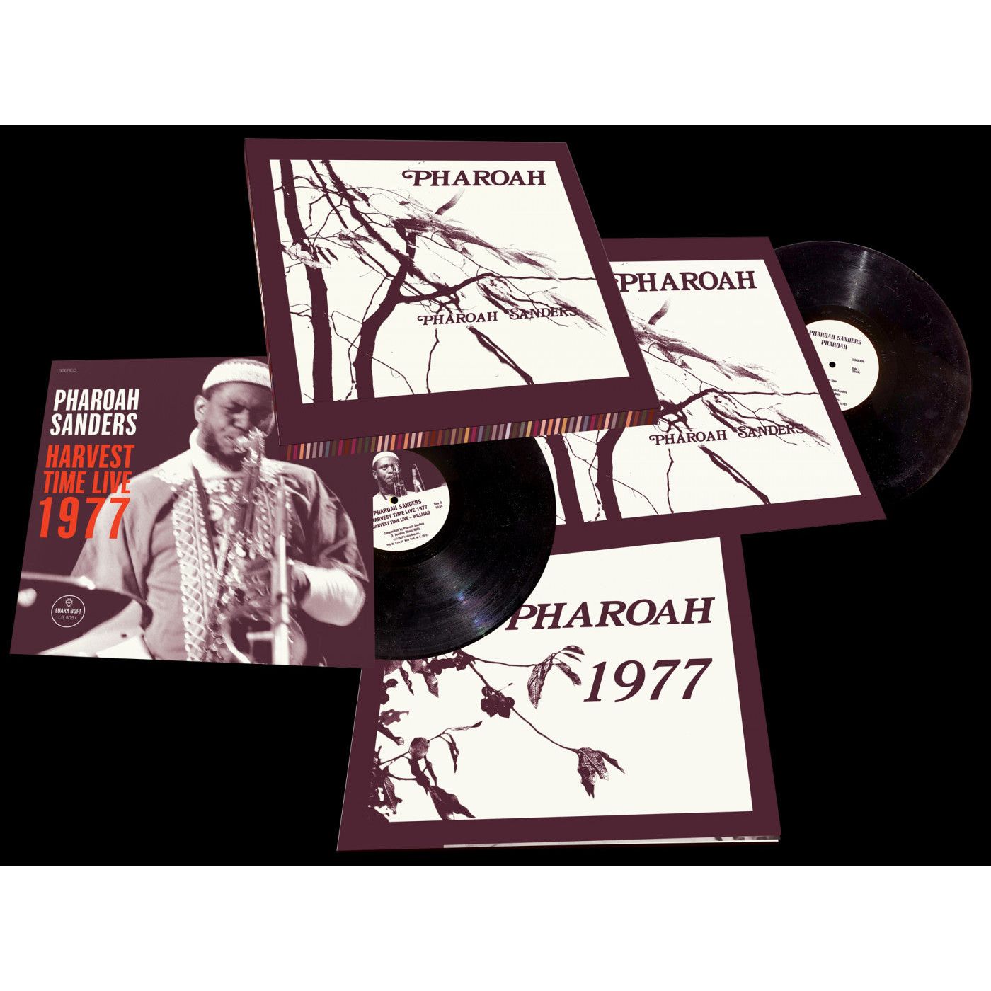 Pharoah Sanders - Pharoah - LP Vinyl Record Hub