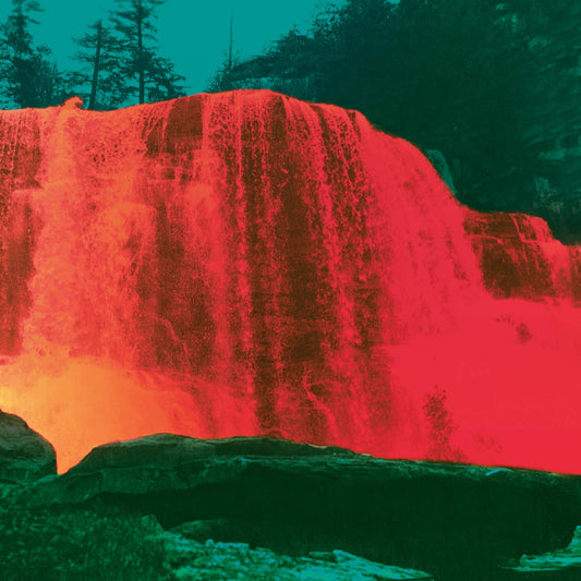 My Morning Jacket - The Waterfall II - LP Vinyl Record Hub