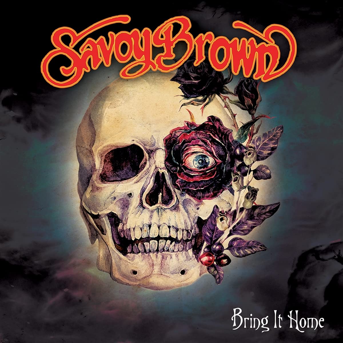 Savoy Brown - Bring It Home- LP Vinyl Record Hub