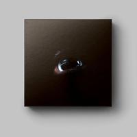 Roger Waters - The Dark Side of the Moon Redux - Box Set Vinyl Record Hub