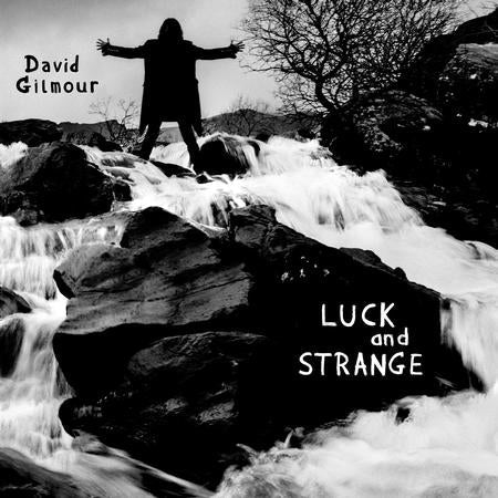 David Gilmour - Luck and Strange - LP Vinyl Record Hub