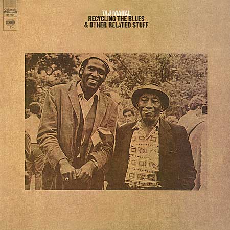 Taj Mahal - Recycling The Blues & Other Related Stuff - Pure Pleasure LP Vinyl LP Hub
