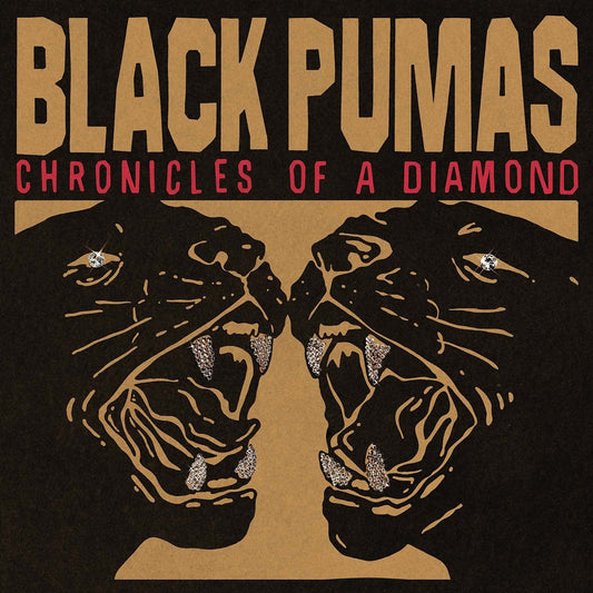Black Pumas - Chronicles Of A Diamond - Indie LP Vinyl Record Hub