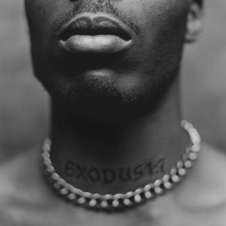 DMX - Exodus - LP Vinyl Record Hub