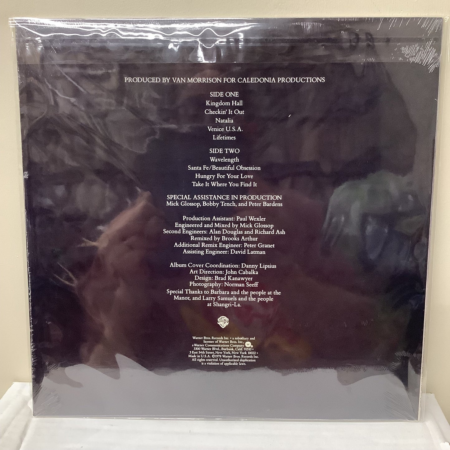 Van Morrison - Wavelength - LP Vinyl Record Hub