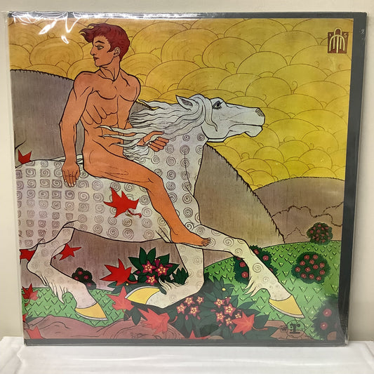 Fleetwood Mac - Then Play On - LP Vinyl Record Hub