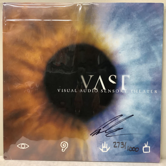 VAST - Video Audio Sensory Theater - 2x LP Vinyl Record Hub