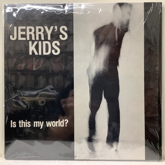 Jerry's Kids - Is this my world? - LP Vinyl Record Hub