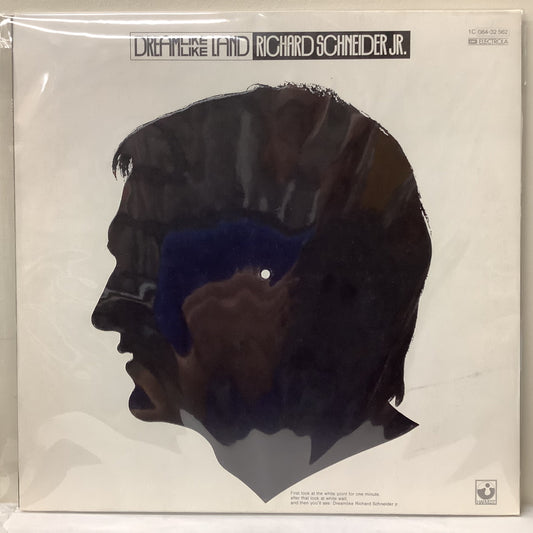 Richard Schneider Jr. - Dreamlike Land - LP Vinyl Record Hub