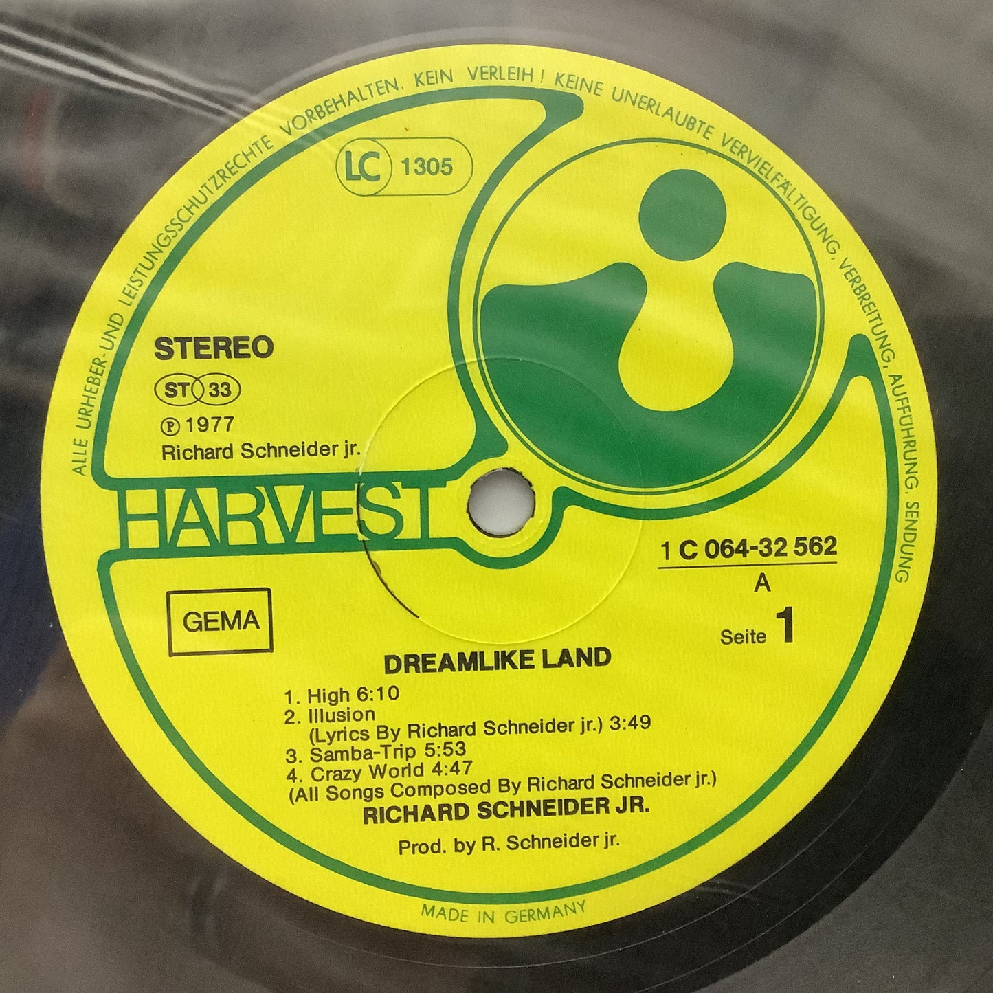 Richard Schneider Jr. - Dreamlike Land - LP Vinyl Record Hub