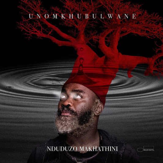 Nduduzo Makhathini - uNomkhubulwane - LP Vinyl Record Hub