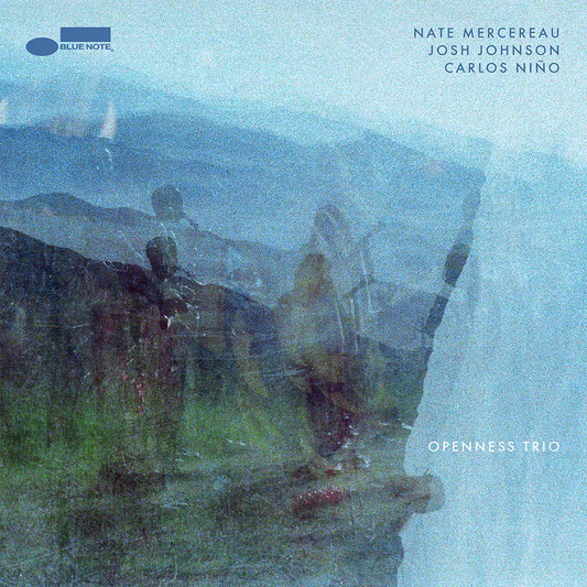 Nate Mercereau, Josh Johnson, Carlos Niño - Openness Trio - LP Vinyl Record Hub