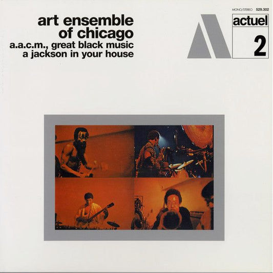 Art Ensemble Of Chicago - A.A.C.M., Great Black Music - A Jackson In Your House - LP Vinyl Record Hub