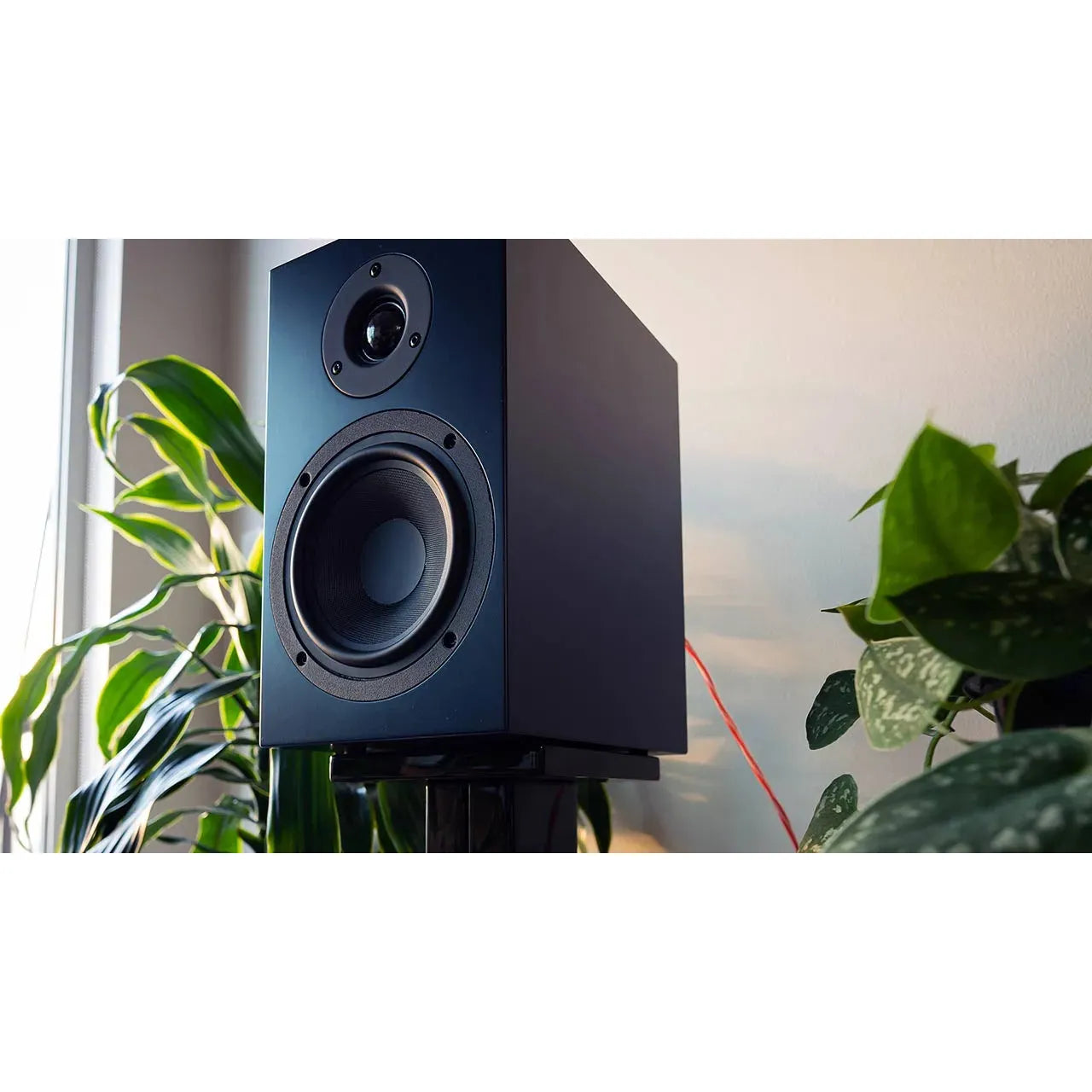 Pro-Ject - Speaker Box 5 S2 Vinyl Record Hub