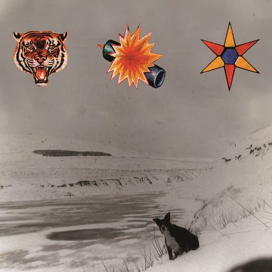The Beta Band - The Three E.P's - LP Vinyl Record Hub
