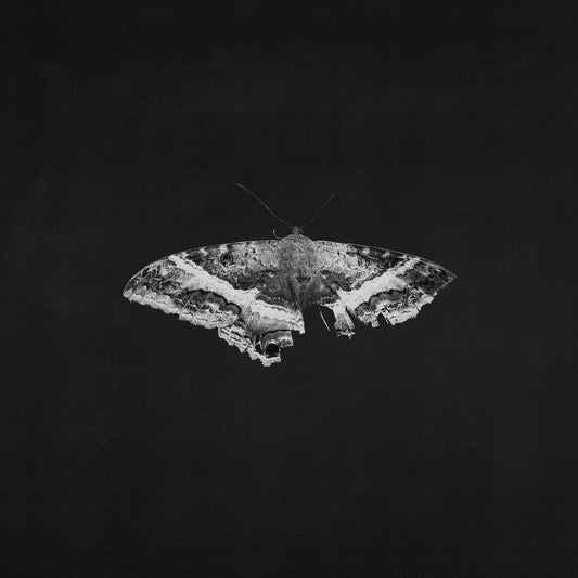 Kendrick Lamar - To Pimp A Butterfly (10th Anniversary) - LP Vinyl Record Hub