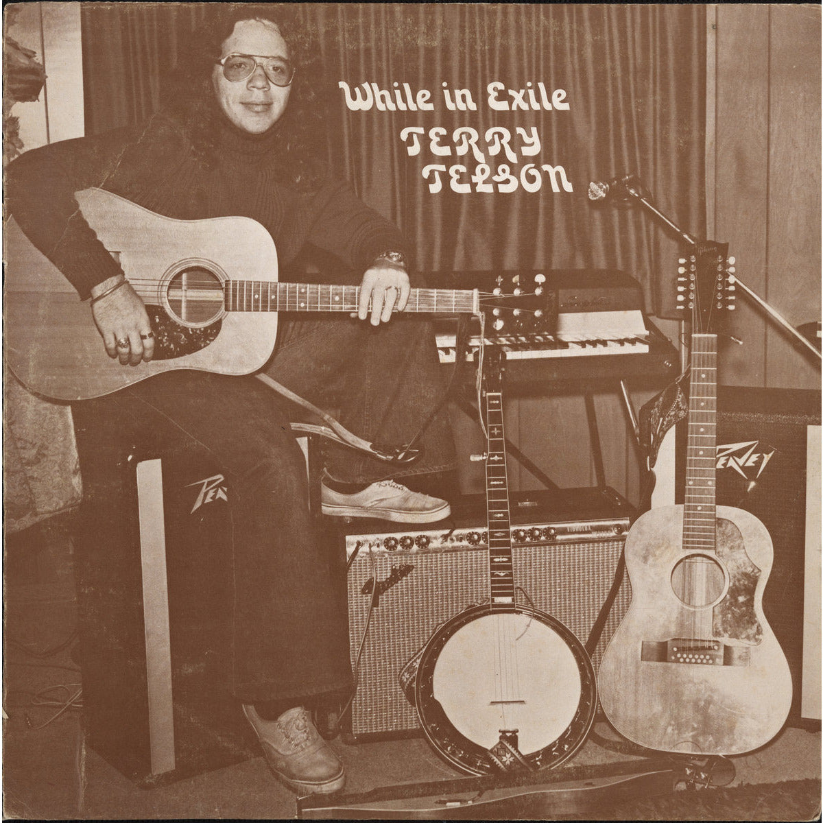 Terry Telson - While in Exile - LP Vinyl Record Hub