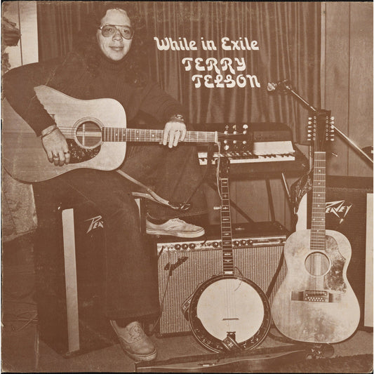 Terry Telson - While in Exile - LP Vinyl Record Hub