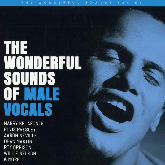 Various Artists - The Wonderful Sounds Of Male Vocals - Analogue Productions LP Vinyl LP Hub