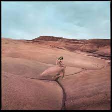 Margo Price - Strays - Indie CD Vinyl Record Hub