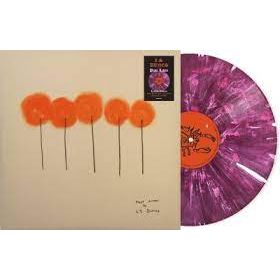 L.S. Dunes - Past Lives - Indie LP Vinyl Record Hub