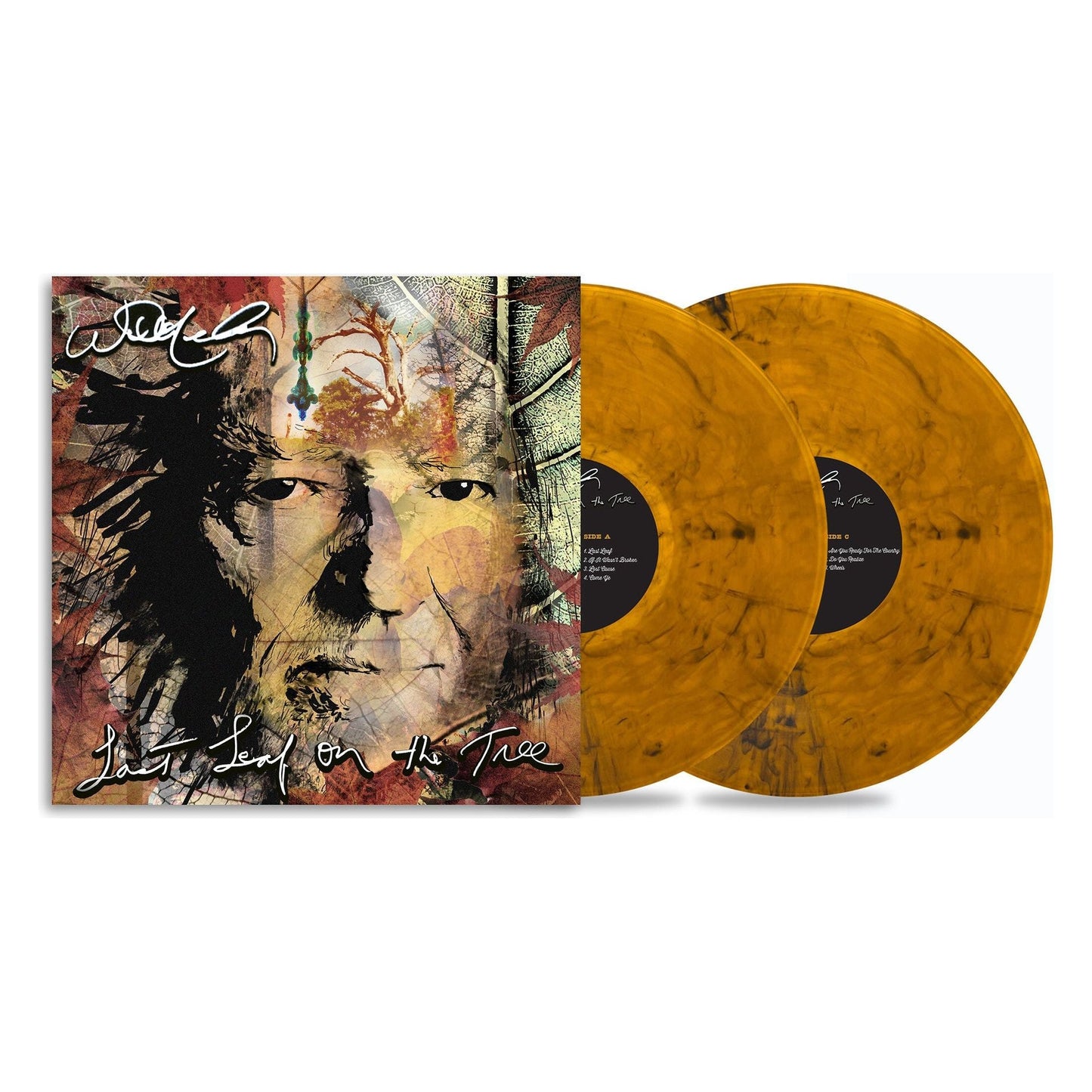 Willie Nelson - Last Leaf on the Tree - LP Vinyl Record Hub