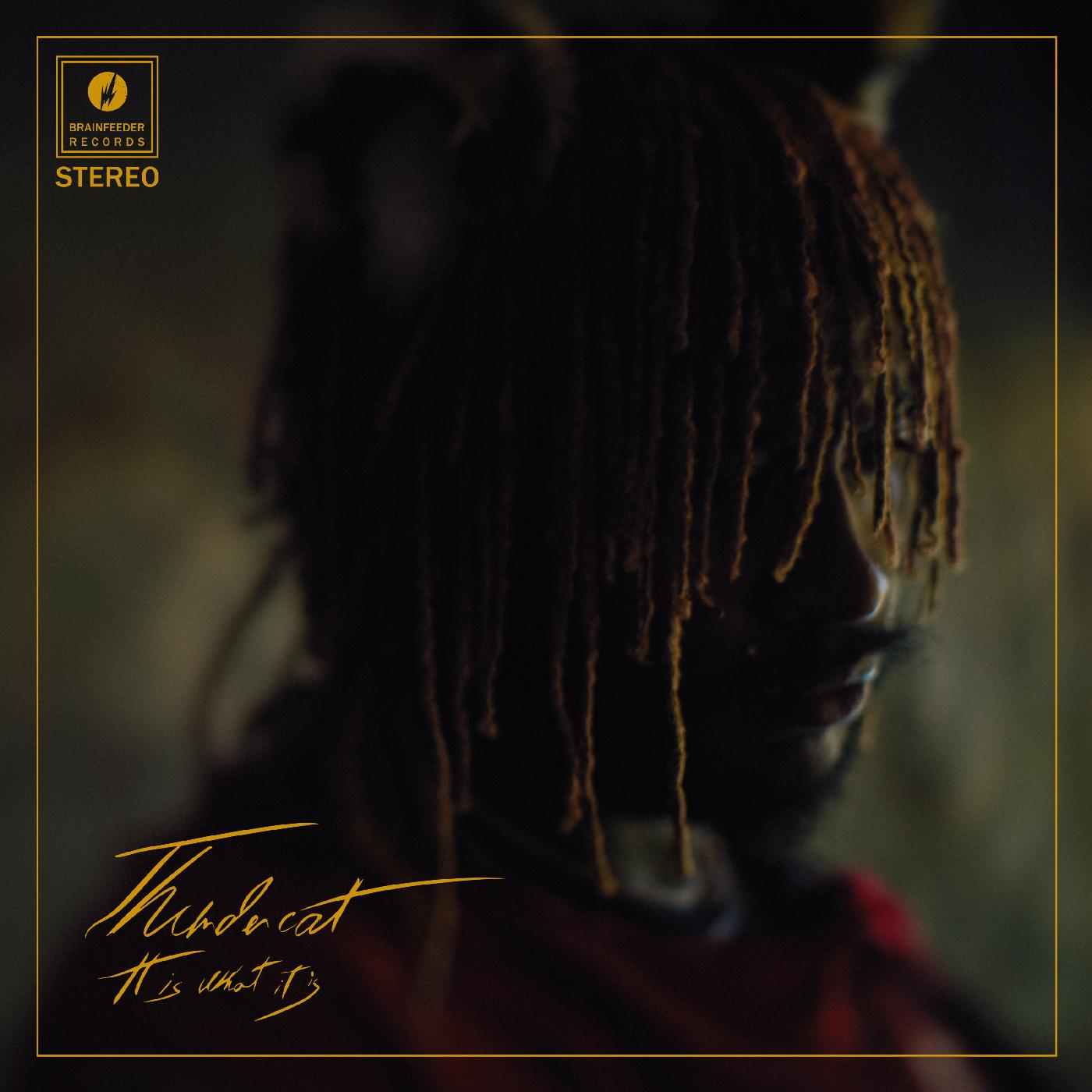 Thundercat - It Is What It Is - Clear Vinyl - LP Vinyl Record Hub