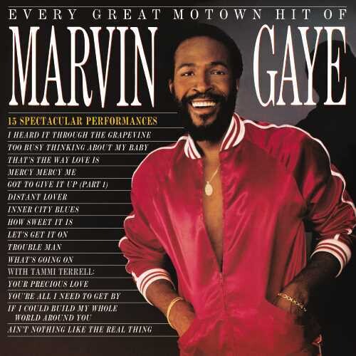 Marvin Gaye - Every Great Motown Hit Of Marvin Gaye: 15 Spectacular Performances - LP Vinyl Record Hub