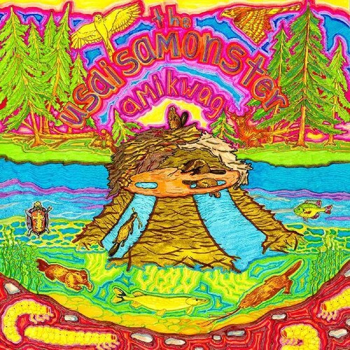 Usaisamonster - Amikwag - LP Vinyl Record Hub