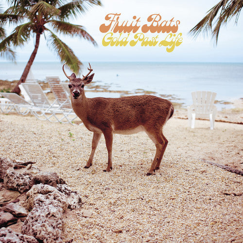 Fruit Bats - Gold Past Life - LP Vinyl Record Hub