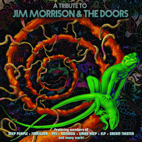Various Artists - A Tribute To Jim Morrison & The Doors - LP Vinyl Record Hub